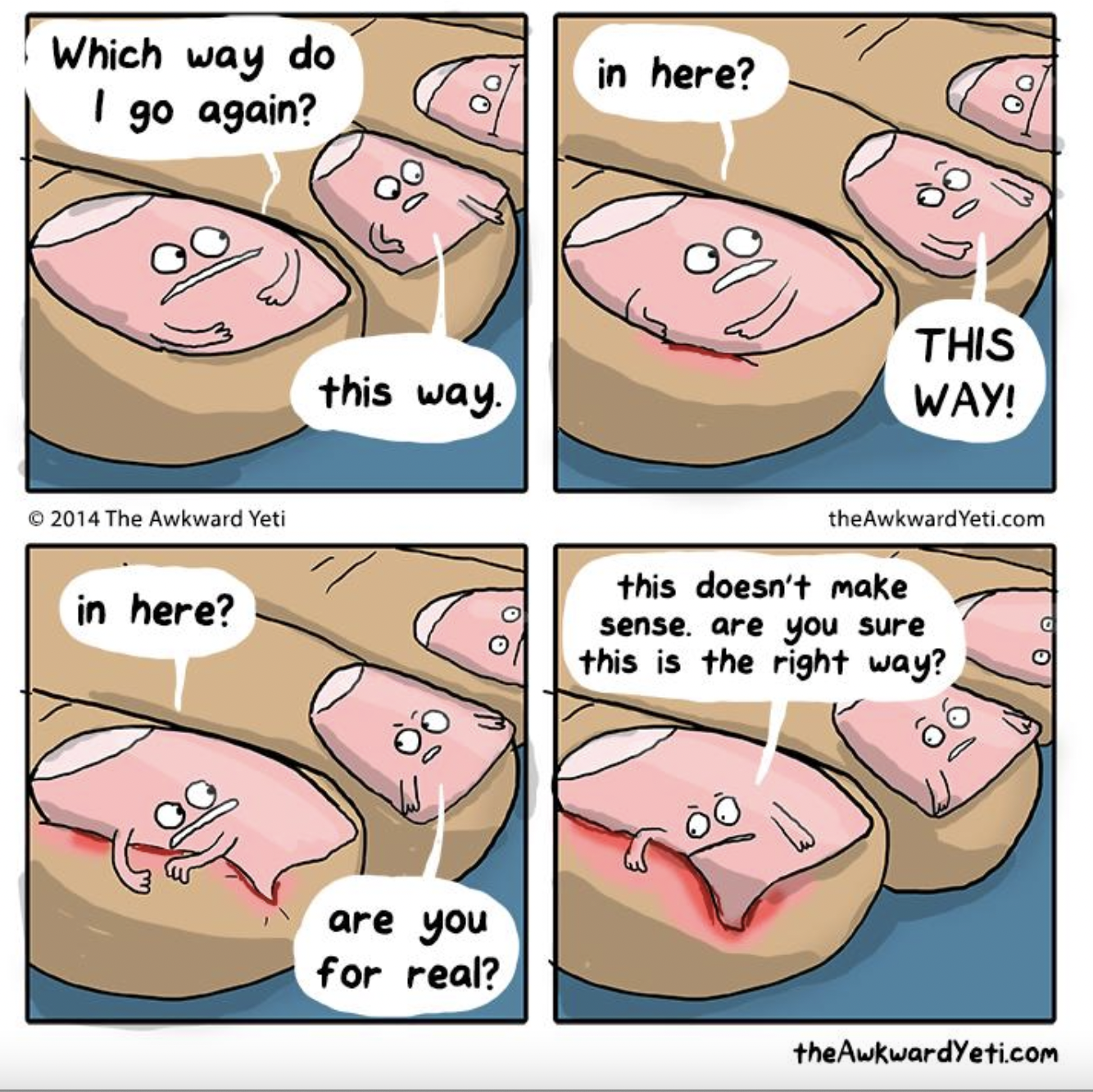 Foot care extends to management of ingrown toenails from a qualified expert able to offer full scope care including surgery and nail bracing. 